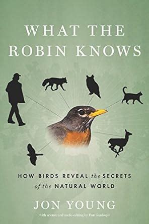 What Robin Knows Secrets Natural Epub