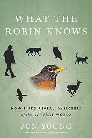 What Robin Knows Secrets Natural Epub