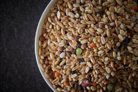 What are Multigrains?