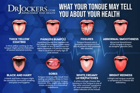 What are the key features of Tongue & Quill?