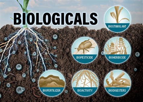 What is Biologicals Agriculture?