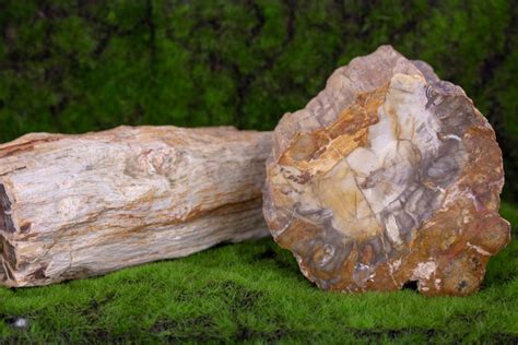 What is Crystallized Wood?