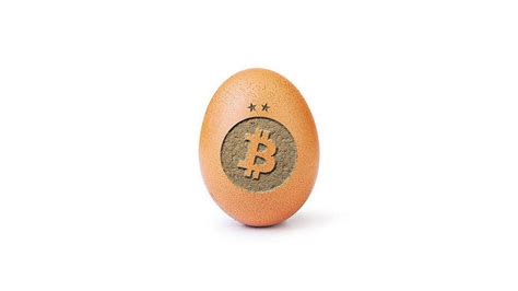 What is EGG Crypto?