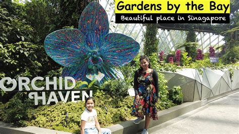 What is Gardens by the Bay: A Nature Lover's Paradise in Singapore