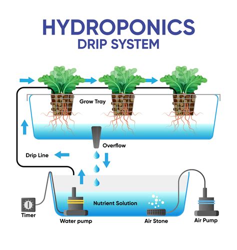 What is Hydroponics?