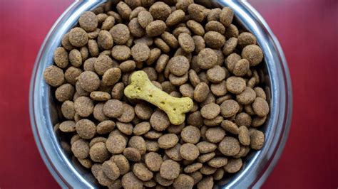 What is Kibble & Bits Dog Food?