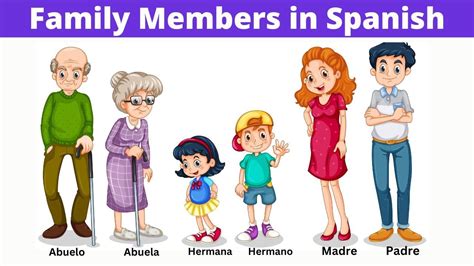 What is Needed in Spanish: A Comprehensive Guide