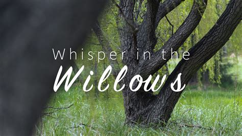 What is Willow Whispers 889?