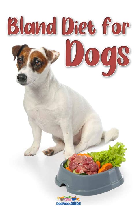 What is a Bland Diet for Dogs?