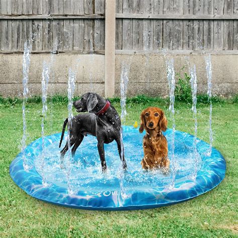 What is a Dog Splash Pad?