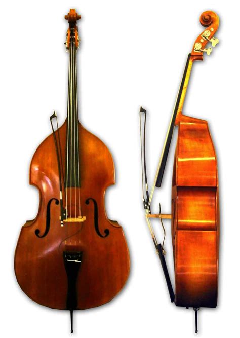 What is a Double Bass?