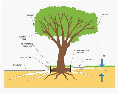 What is a Maple System?