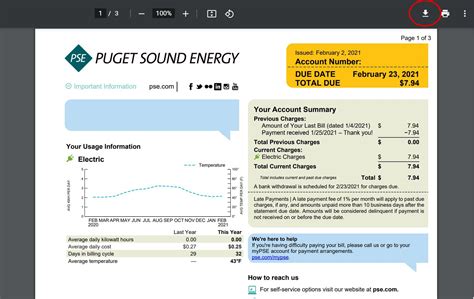 What is a PSE account?