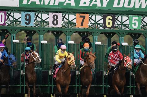 What is a Place Bet in Horse Racing?