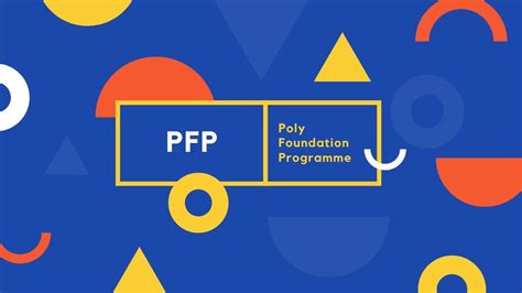 What is a Polytechnic Foundation Programme?