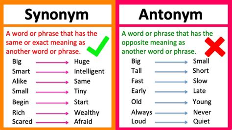 What is a Synonym?