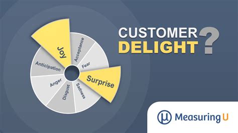 What is customer delight?