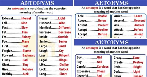 What is the Bachelor Antonym? Let Me Tell You