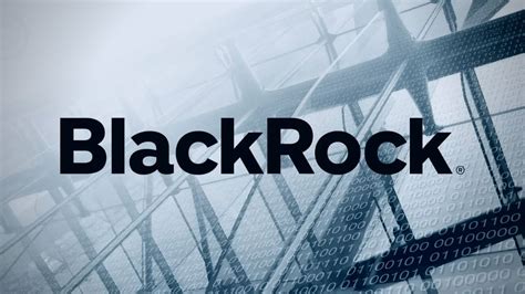 What is the BlackRock S&P 500 Index Fund?