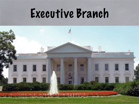 What is the Executive Branch Role of Nigeria - An in-Depth Look