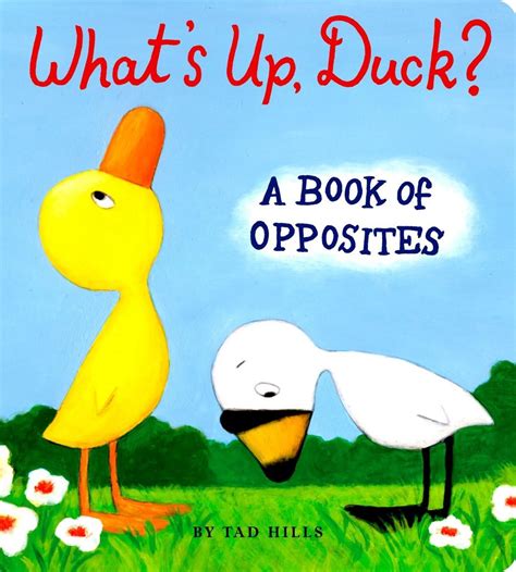 What s Up Duck A Book of Opposites Duck and Goose