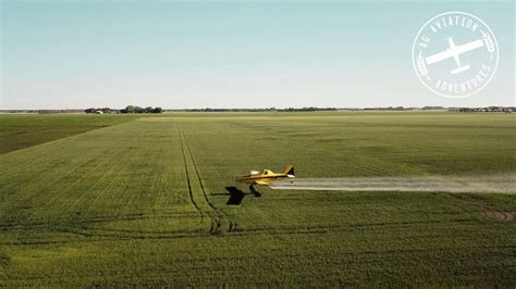 What to Do If You've Been Crop Dusted