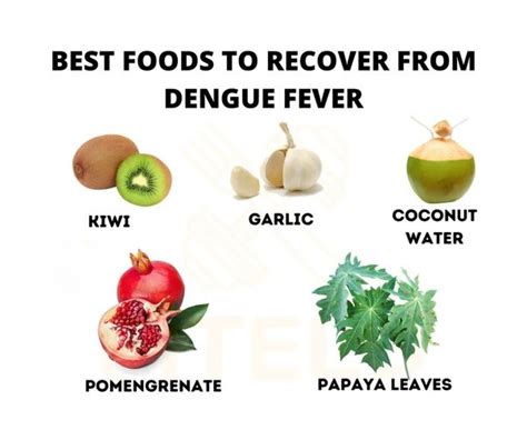 What to Eat When You Have Dengue Fever