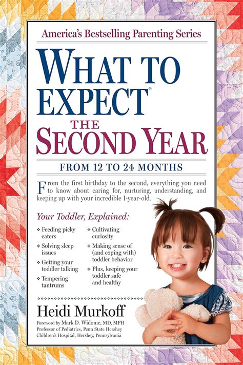 What to Expect the Second Year From 12 to 24 Months What to Expect Workman Publishing PDF