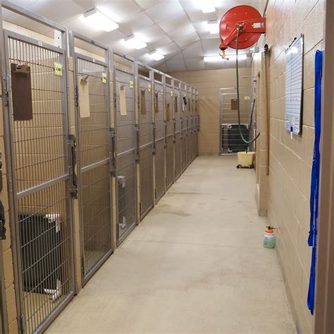 What to Look for in a Boarding Kennel