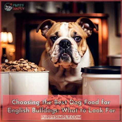 What to Look for in a Dog Food for Bulldogs