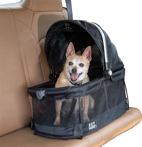 What to Look for in a Small Puppy Carrier