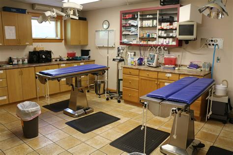 What to Look for in a Veterinarian Hospital