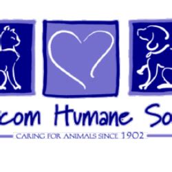 Whatcom Humane Society Bellingham: Saving 1,000 Animals Annually