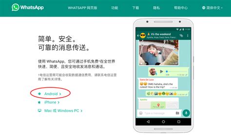 WhatsApp下载安卓版：全面指南，尽在掌握