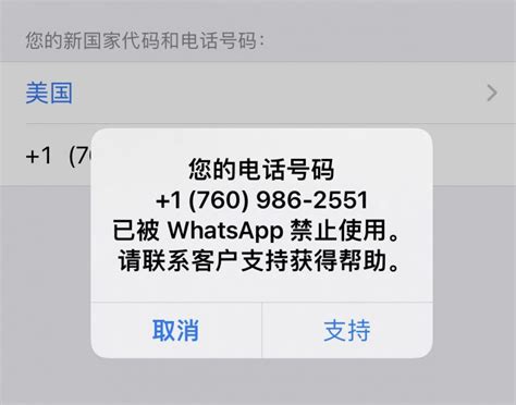 WhatsApp国际版中文汉化指南：畅游全球，沟通无碍