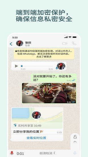 WhatsApp汉化：全面了解中文版WhatsApp