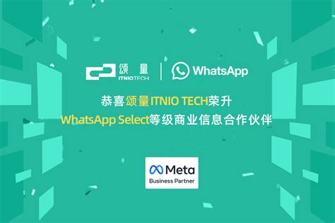 WhatsApp：引领全球社交媒体