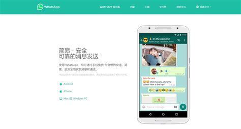 WhatsApp 下载安卓版：释放沟通潜能