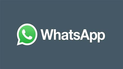 WhatsApp 下载电脑版：全面指南