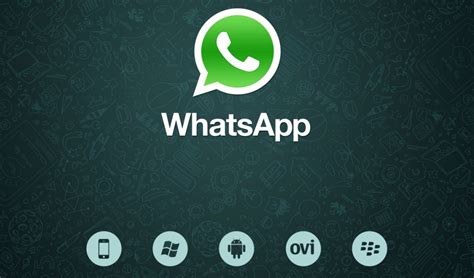 WhatsApp 下载 iOS：快速指南，让你尽享便捷通讯