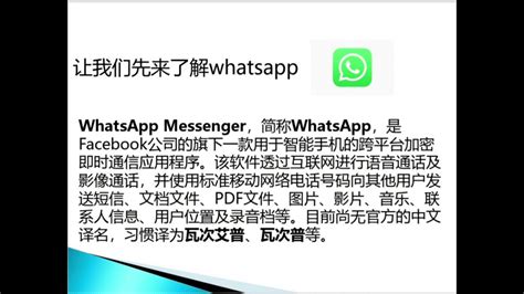 WhatsApp 的功能