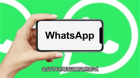 WhatsApp 電腦版下載：讓溝通更輕鬆、高效