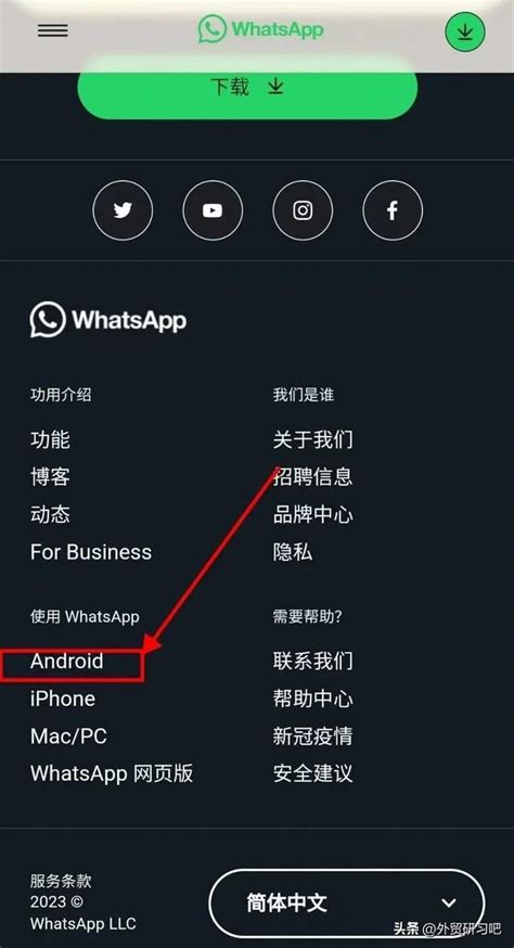 WhatsApp 電腦版完整指南：下載、安裝、功能及疑難解答