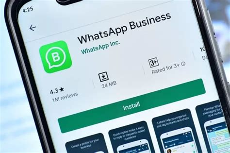 WhatsApp Business Beta: Um Guia Completo para Pequenas Empresas