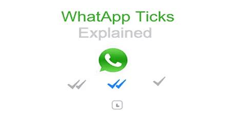 WhatsApp Only One Check Mark: A Comprehensive Guide