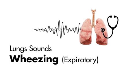 Wheezing Sound When Breathing: 10,000+ Words of Essential Information