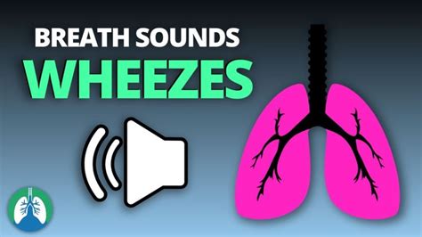 Wheezing Sound When Breathing: A Comprehensive Guide