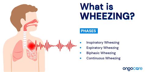 Wheezing Sound When Breathing In: A Comprehensive Guide