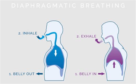 Wheezing When I Exhale: 10,000+ Words on What It Means and How to Fix It