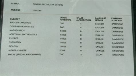 When Do O Level Results Come Out: A Comprehensive Guide